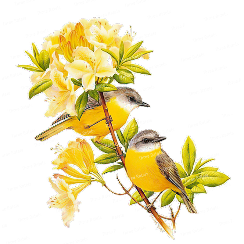 Drei Ratels QCF146 Blume und V – Flower Wall Panel Bewertung und Preis